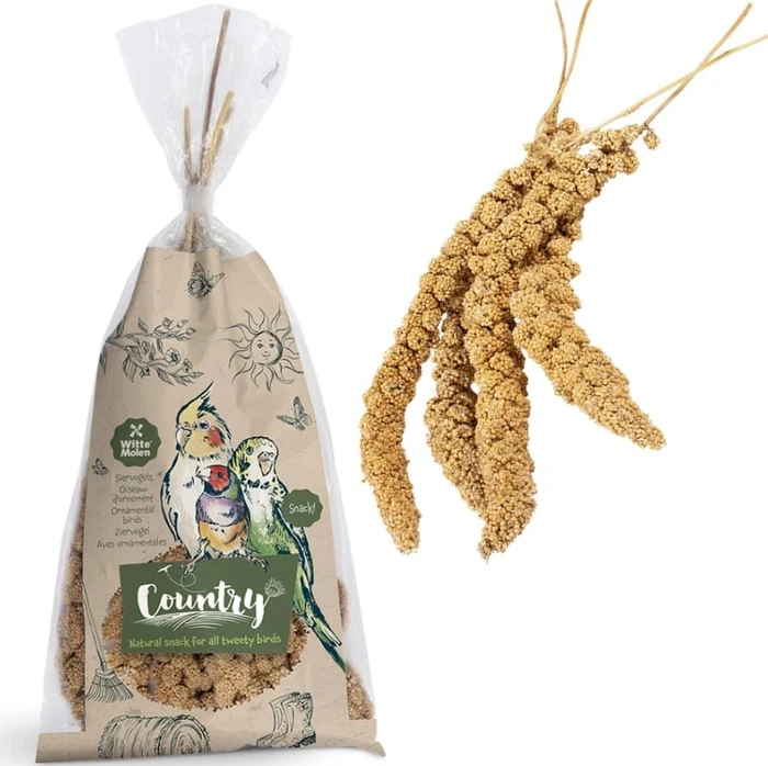 קאנטרי ענפי דוחן לציפורים